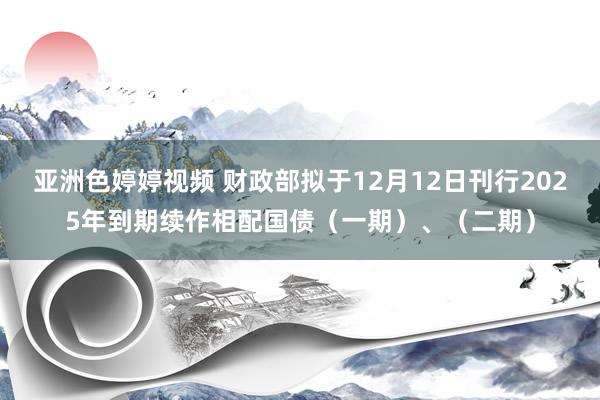 亚洲色婷婷视频 财政部拟于12月12日刊行2025年到期续作相配国债（一期）、（二期）